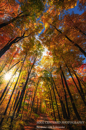 Lover's Lane in fall colors, Sept. '26 2