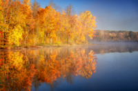 _DSC8721z