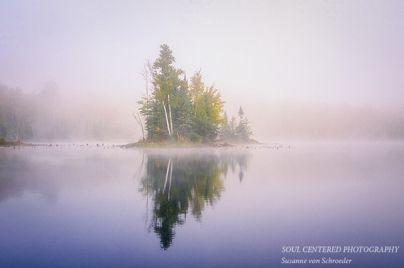 Audie Flowage, island in fog
