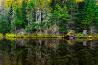 _DSC0693a
