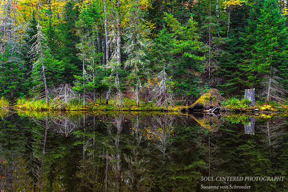 _DSC0693a
