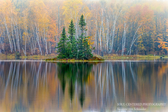 Audie Lake, three Spruce reflections