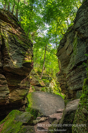 _DSC2935a