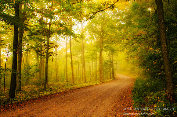 Golden Morning