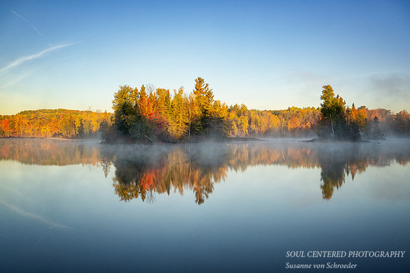 _DSC8654z