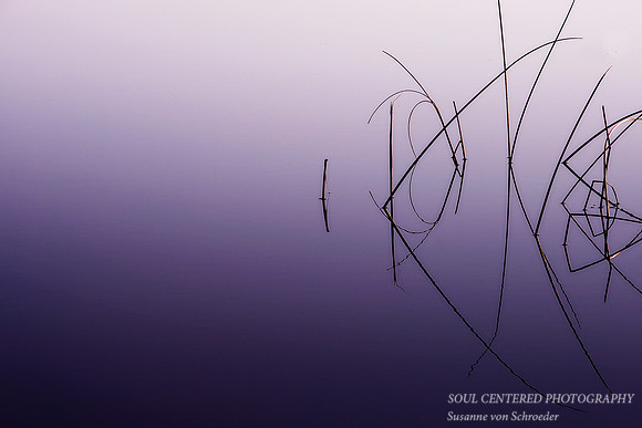 Reed geometry