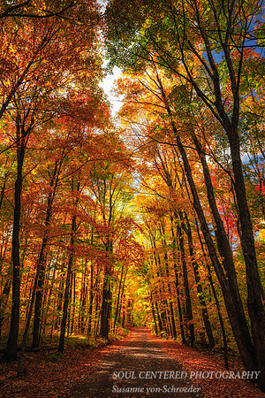 Lover's Lane in fall colors, Sept. '26 1