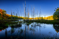 Fall colors and dead trees at Perch lake, Sept. '26