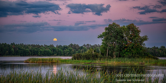 Full moon rising, Chippewa Flowage, WI, Aug. '26 1, panorama