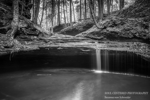Echo Dells