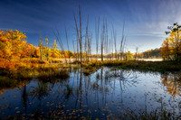 _DSC8752z