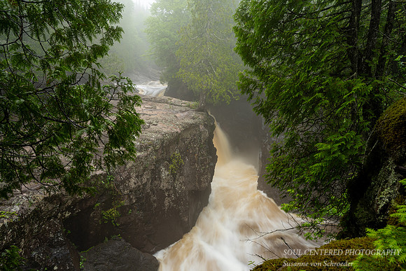 Along the Cascade river, June '23 3