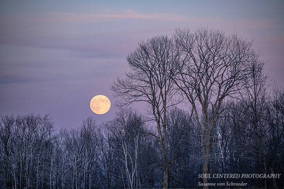 November full moon, Blue Hills, '24 2