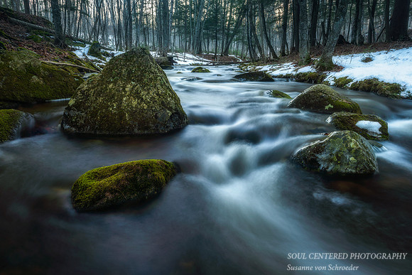 Early snow melt