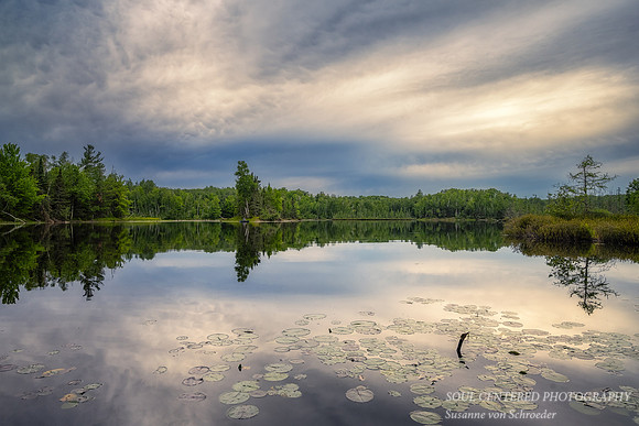 Cloudy summer evening at Audie Lake with lily pads, '23