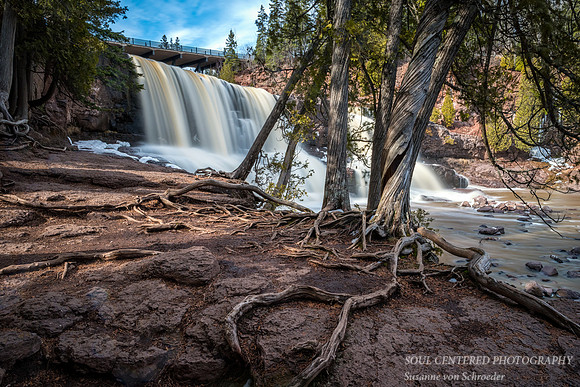 Cedar trees with Gooseberry Middle Falls with bridge