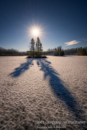 Sun light and shadows, Audie Lake, March '25 3, vertical