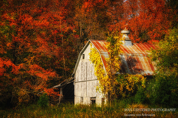 Barn, fall colors