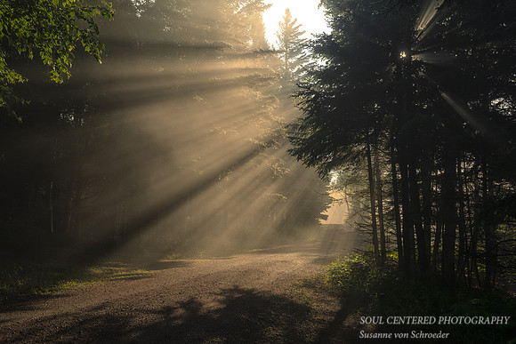 Sunlight at a foggy morning, June '23 1