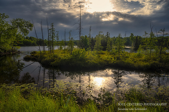 Cloudy summer evening at Audie Lake, sunlight '23