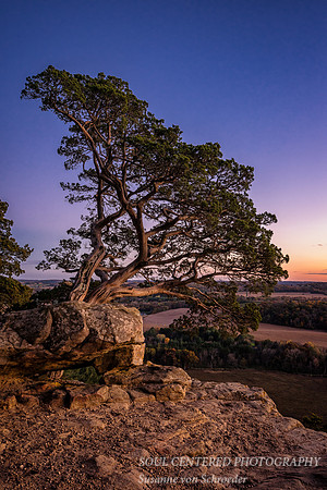 Blue Hour at Rock of Gibraltar, vertical