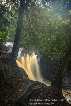 Along the Cascade river, June '23 5