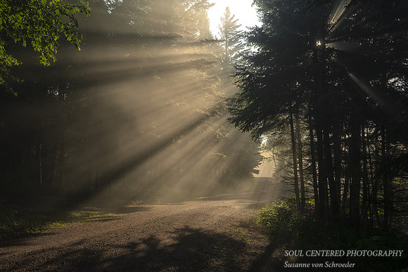 Sunlight at a foggy morning, June '23 1