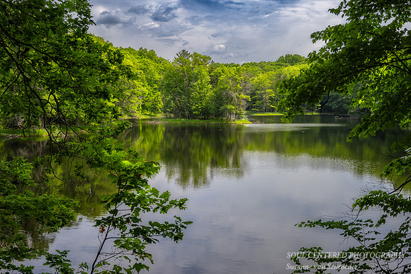 Forest lake with reflections 2