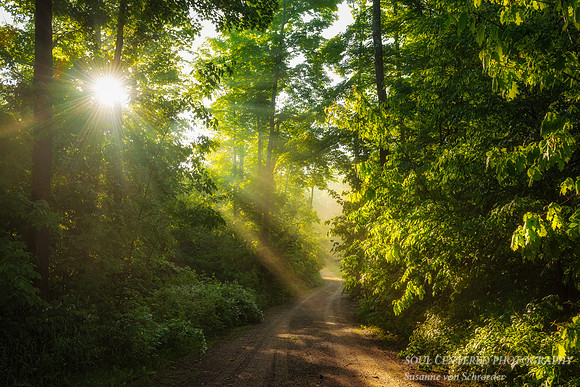 Morning light