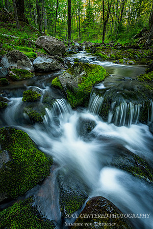 Creek with mossy rocks
