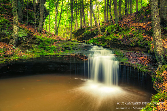 Echo Falls, spring 2