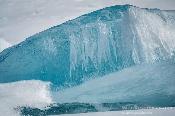 Huge blue ice piece in snow , close up
