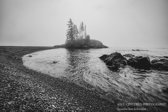 _DSC3698zBW