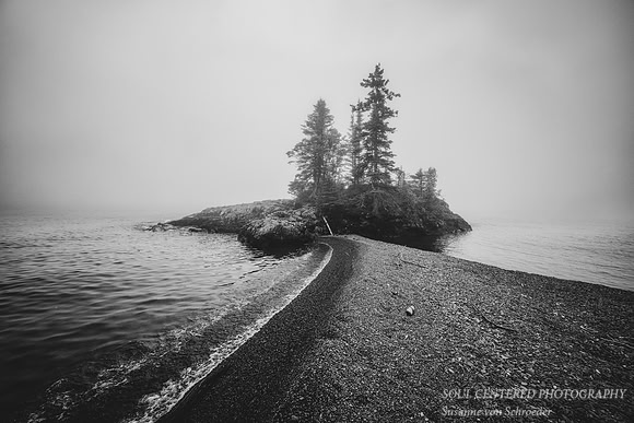 _DSC3696zBW