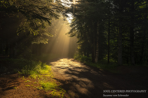 Sunlight at a foggy morning, June '23 2