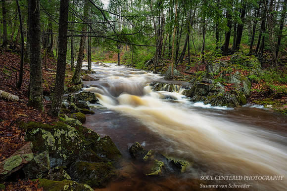 Becky's Creek