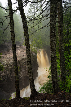 Along the Cascade river, June '23 1