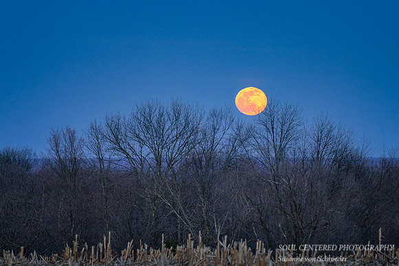 March full moon rising