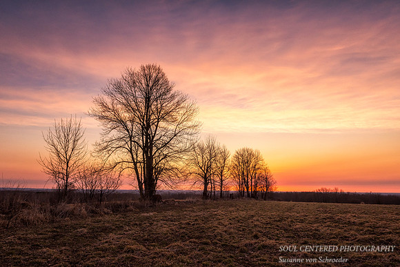 Colors of dawn