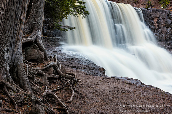 Gooseberry Middle Falls with tree roots, close up, spring '17