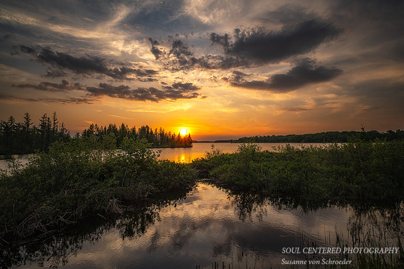 June sunset, with bog, Chippewa Flowage, '23