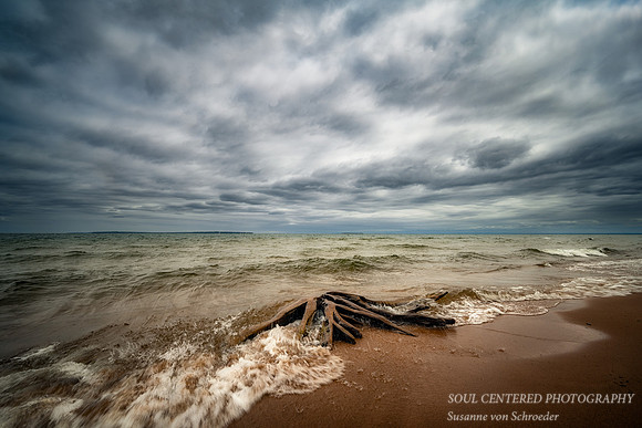 Friendly Valley beach with driftwood, June '23