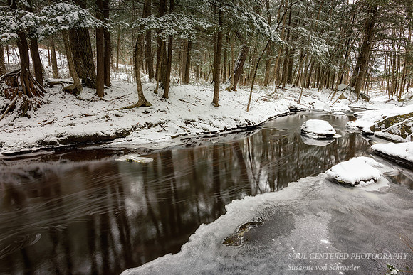 March snow at a creek 5