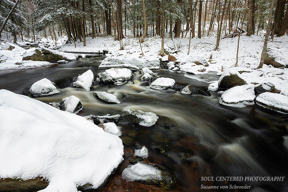 March snow at a creek 6