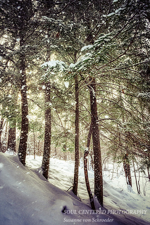 Falling snow