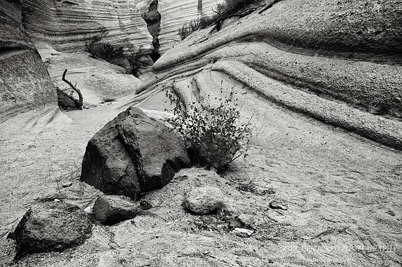 Rocks, Tent Rocks, NM bw