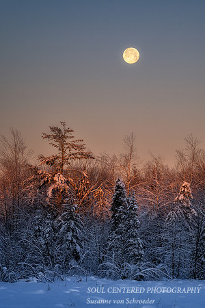 January full moon setting at sunrise