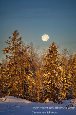January full moon setting 2