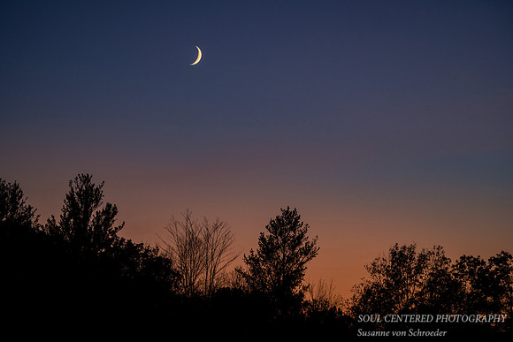 Sliver of moon