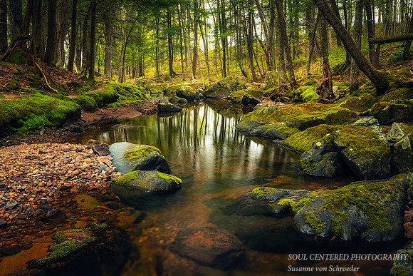 Creek with mossy rocks and reflections 2